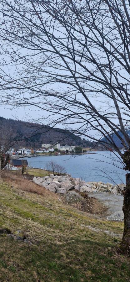 Frydenlund Villa Balestrand Dış mekan fotoğraf