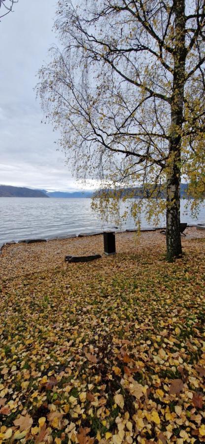 Frydenlund Villa Balestrand Dış mekan fotoğraf